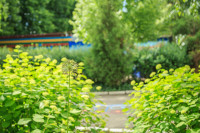 Фото-5M5A2134.jpeg