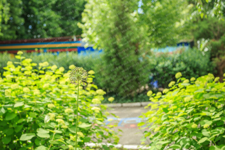 Фото-5M5A2134.jpeg